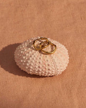 Load image into Gallery viewer, Kristin Ash Onda Hoops