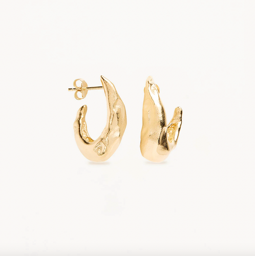By Charlotte Wild Heart Hoops