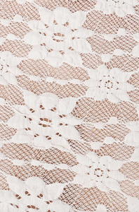 Rowie Galo Sunflower Lace Tee - Creme