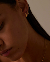 Load image into Gallery viewer, Kirstin Ash Alchemise Hoops