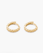 Load image into Gallery viewer, Kirstin Ash Bloom Hoops