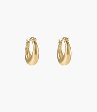 Load image into Gallery viewer, Kirstin Ash Glow Hoops Small - Gold