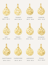 Load image into Gallery viewer, Avant Studio Zodiac Necklace